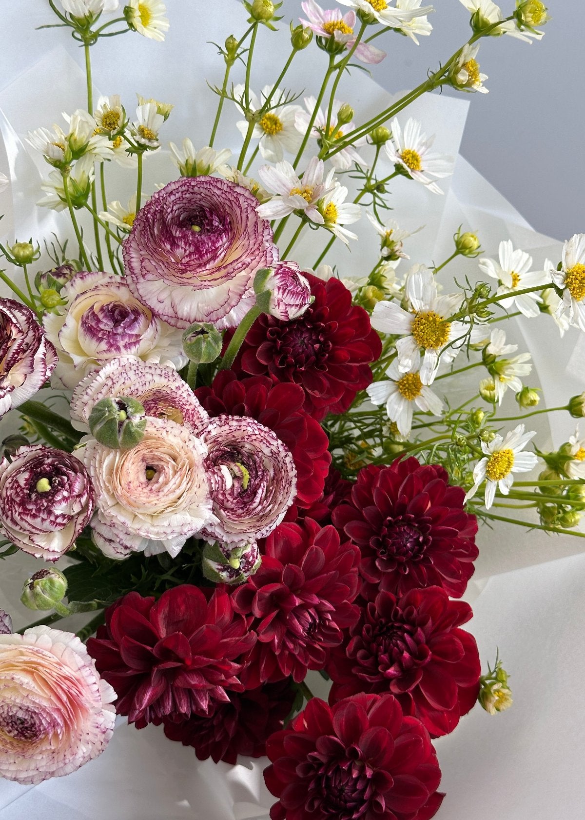 En Masse Buds. The Bud Club - Gold Coast Florist. Same Day Delivery.