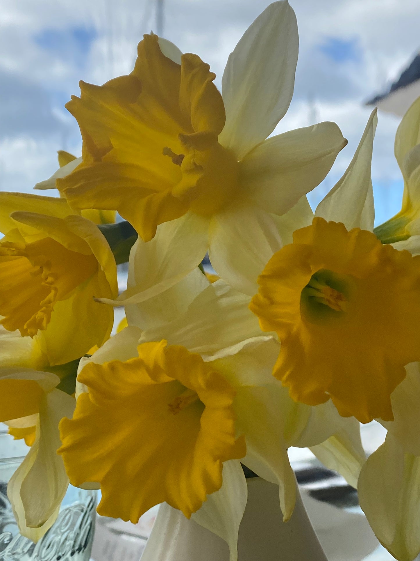 Daffodil Day Bouquet.