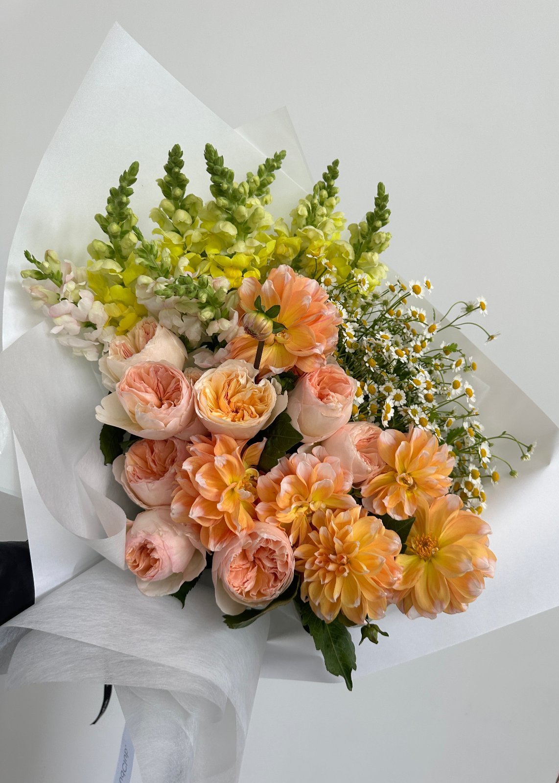 En Masse Buds. The Bud Club - Gold Coast Florist. Same Day Delivery.