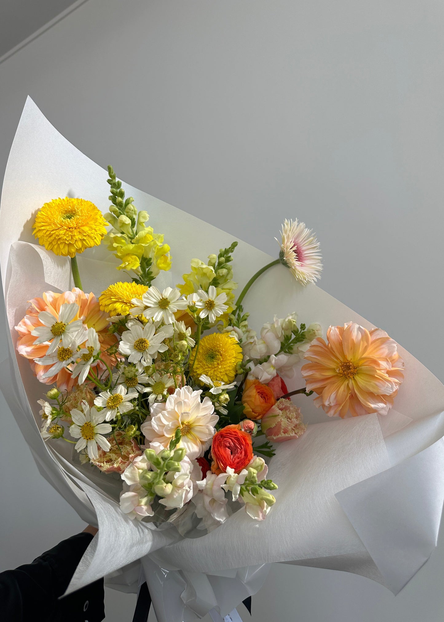 Colourful Buds. The Bud Club - Gold Coast Florist. Same Day Delivery.