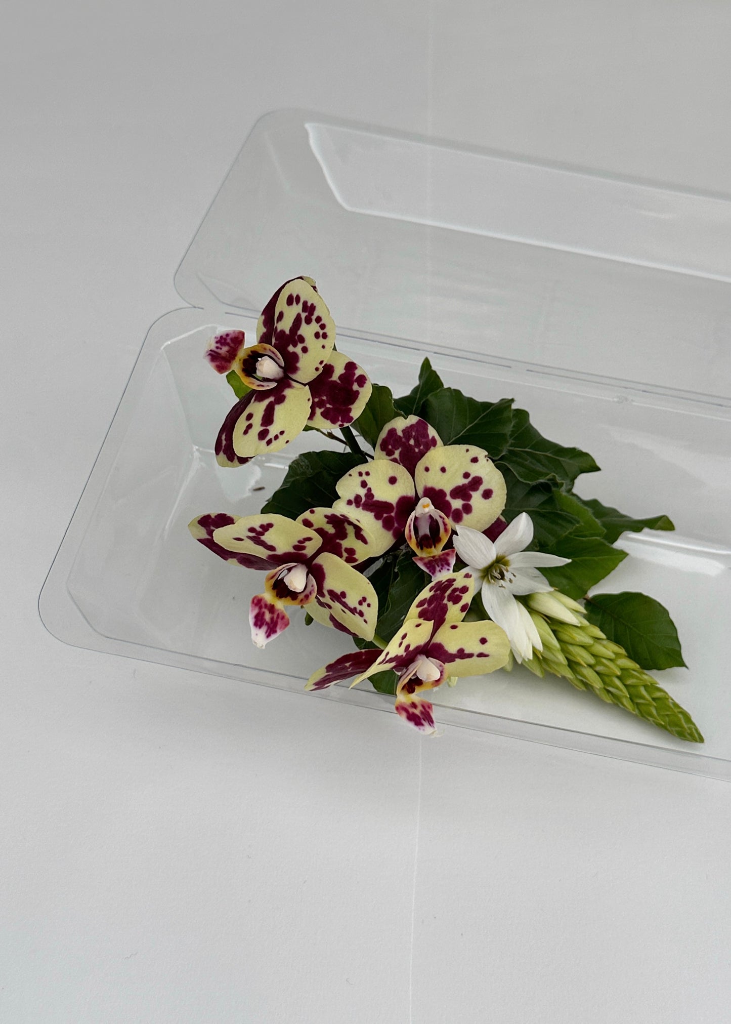 Corsage of purple and yellow orchids with greenery, displayed in a clear plastic box on a white surface.