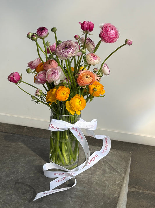 Ranunculus.