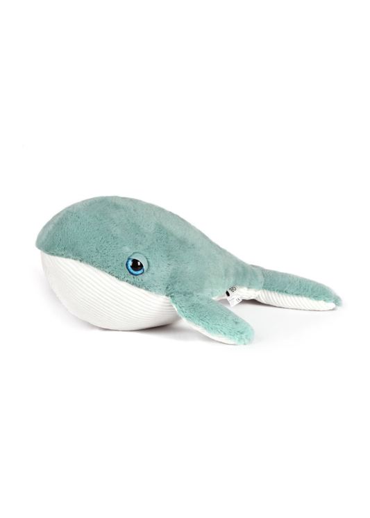 Willy Whale.