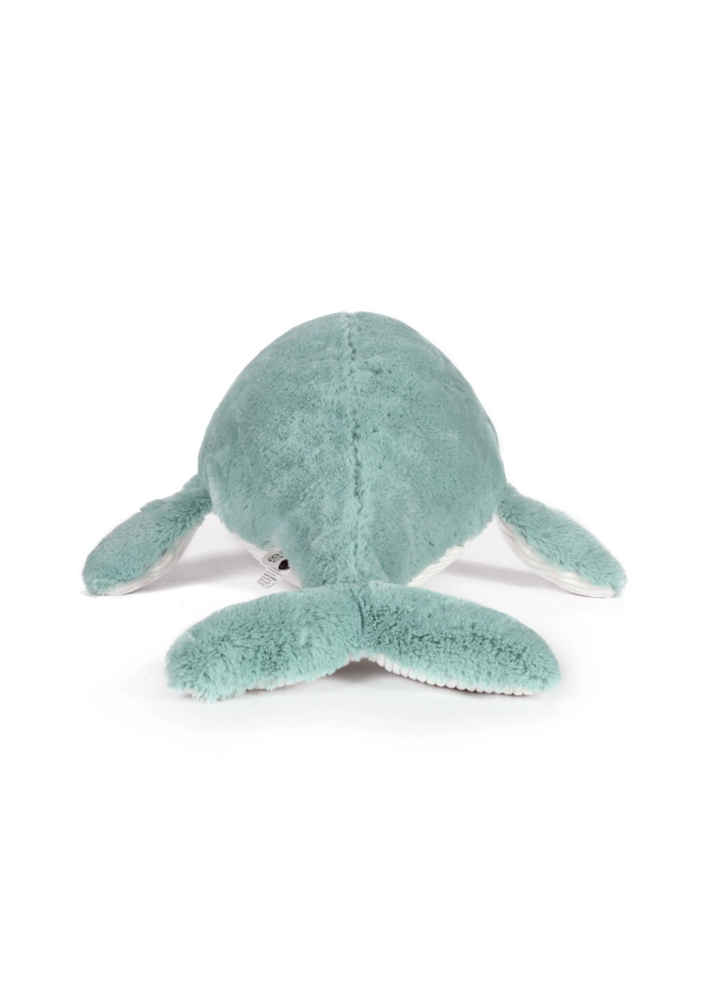 Willy Whale.