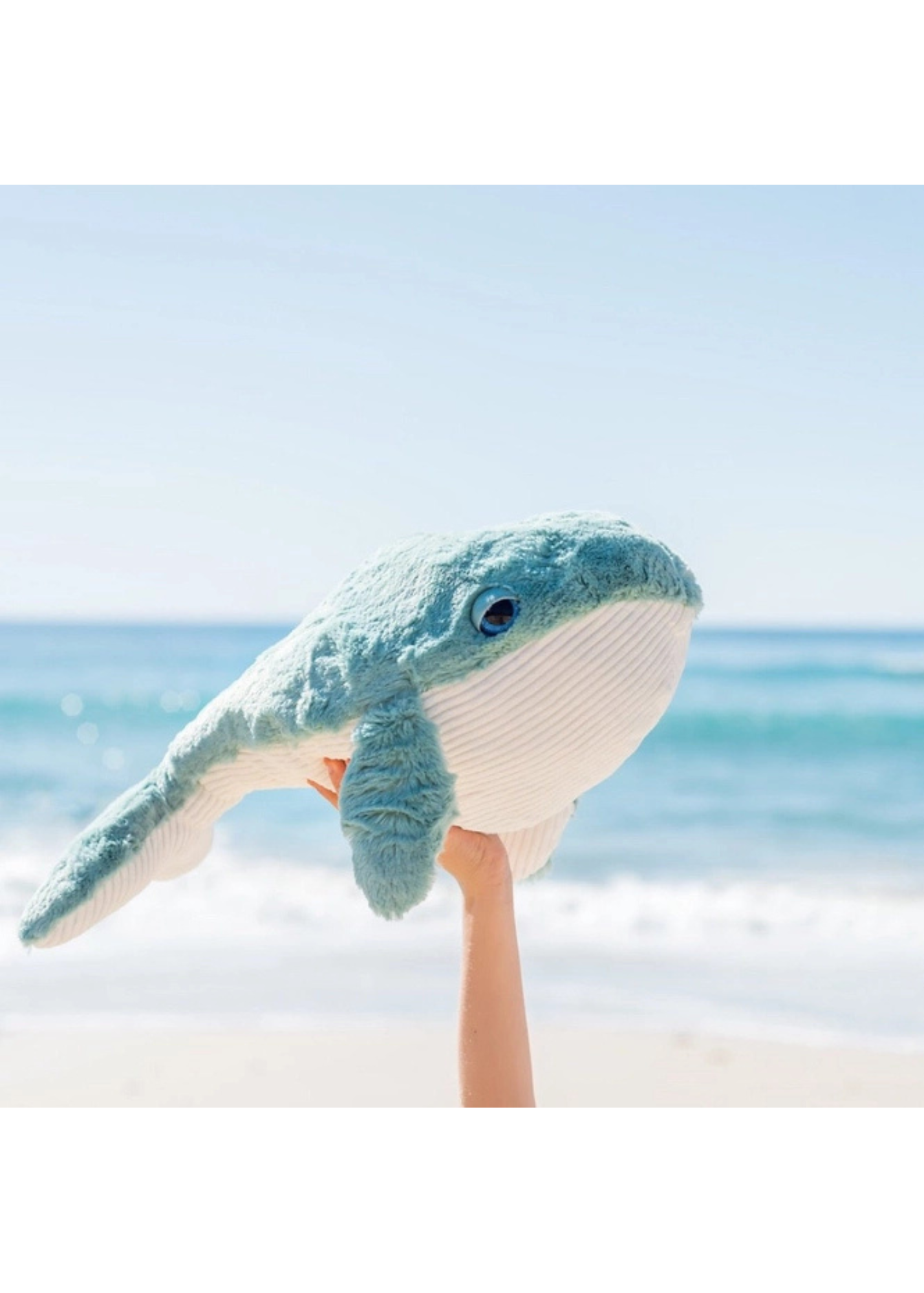 Willy Whale.