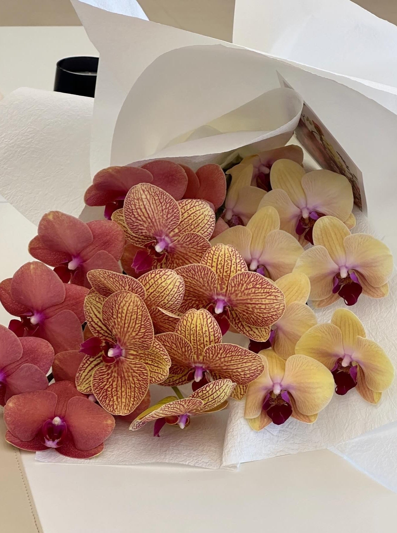 Orchids. The Bud Club - Gold Coast Florist. Same Day Delivery.
