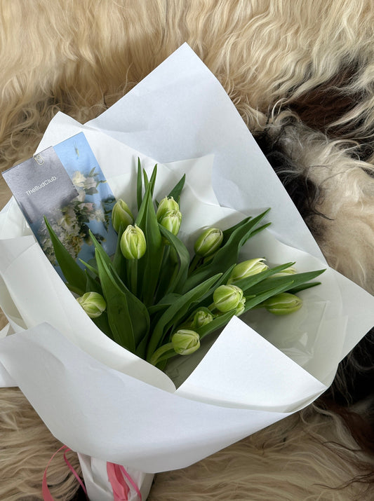 Tulips. TheBudClub - Gold Coast Florist. Same Day Delivery.