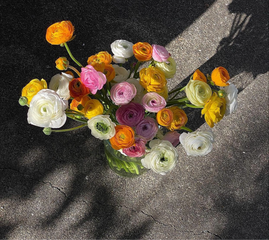 Ranunculus.