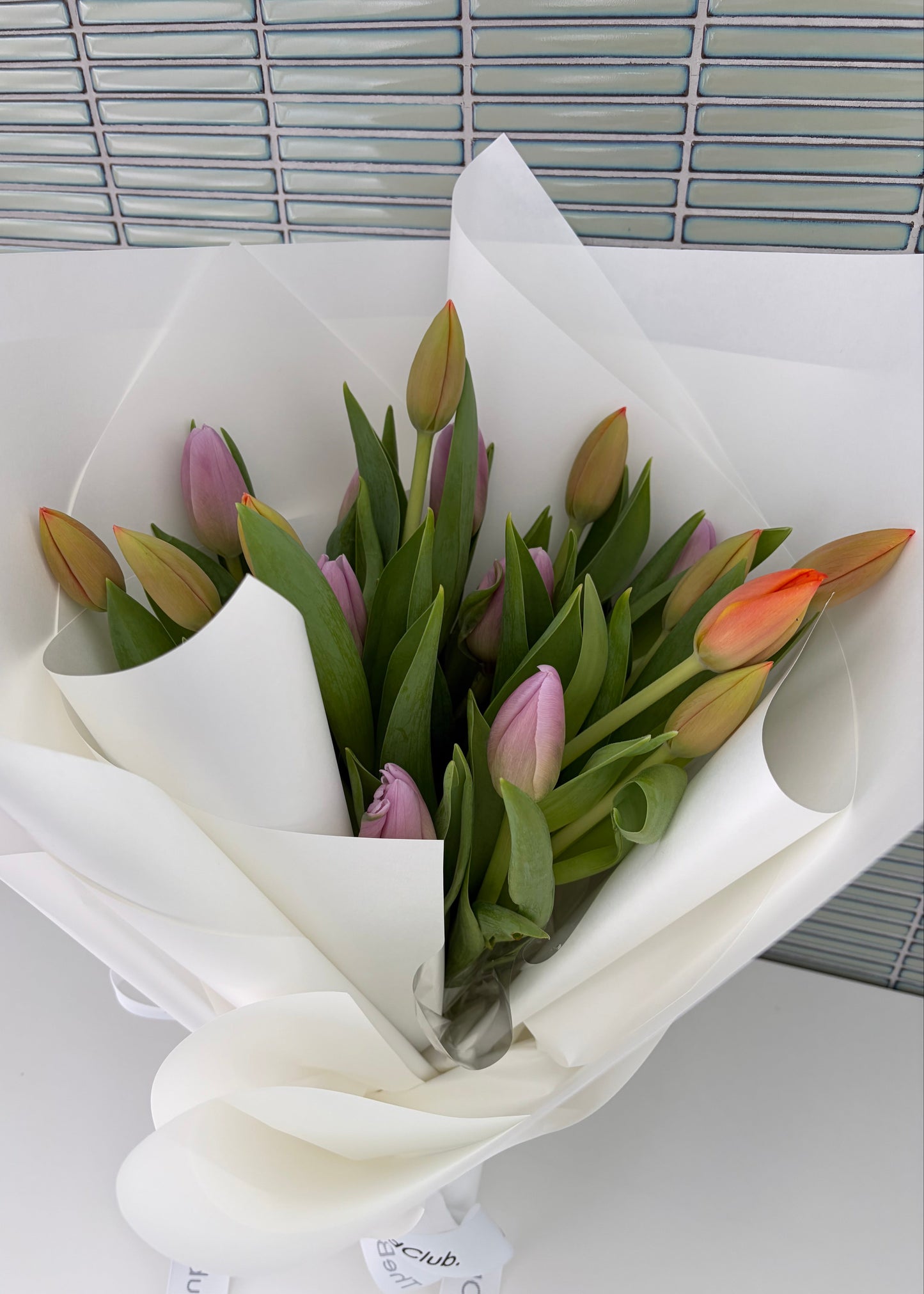 Tulips.