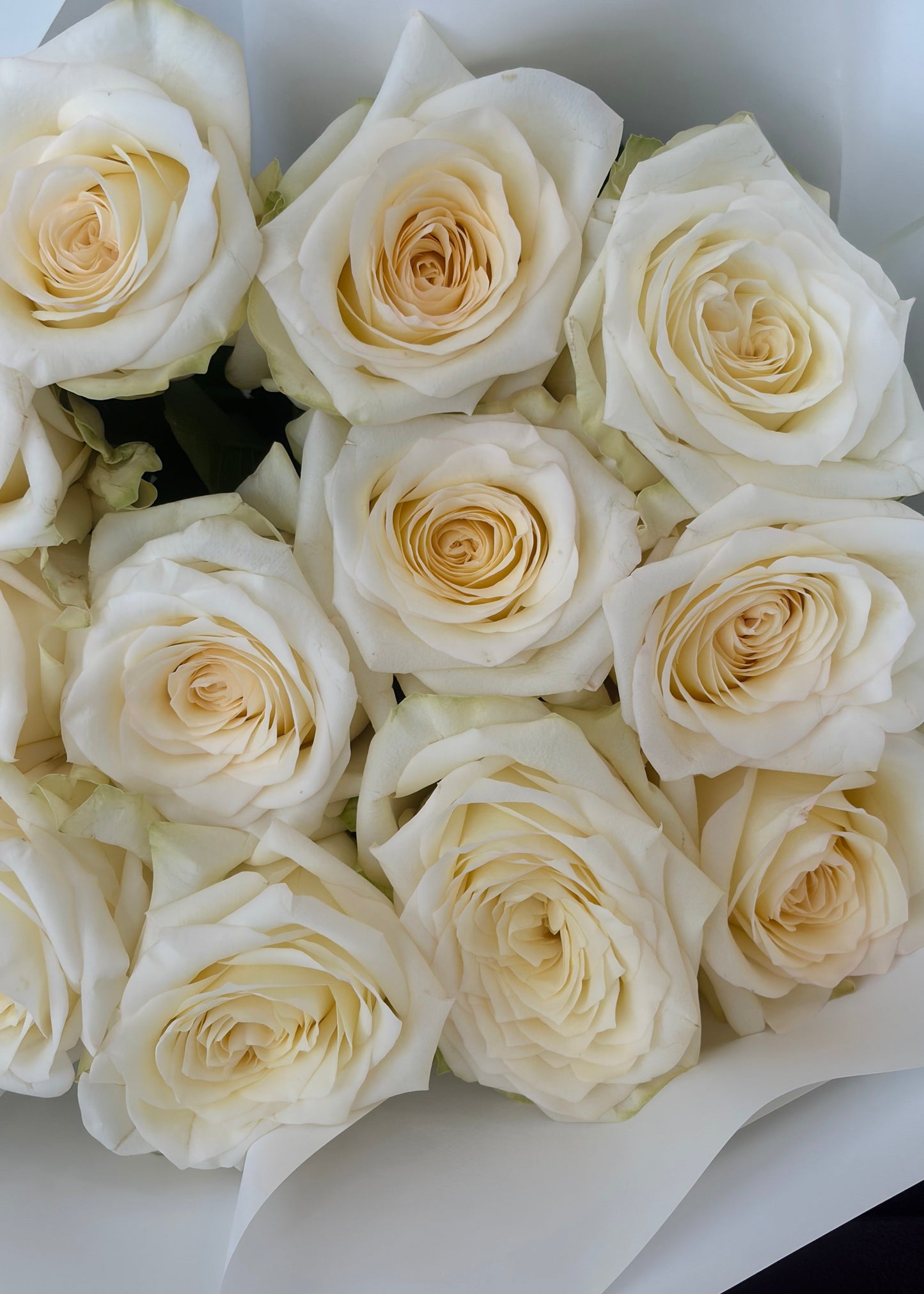 Roses - En Masse