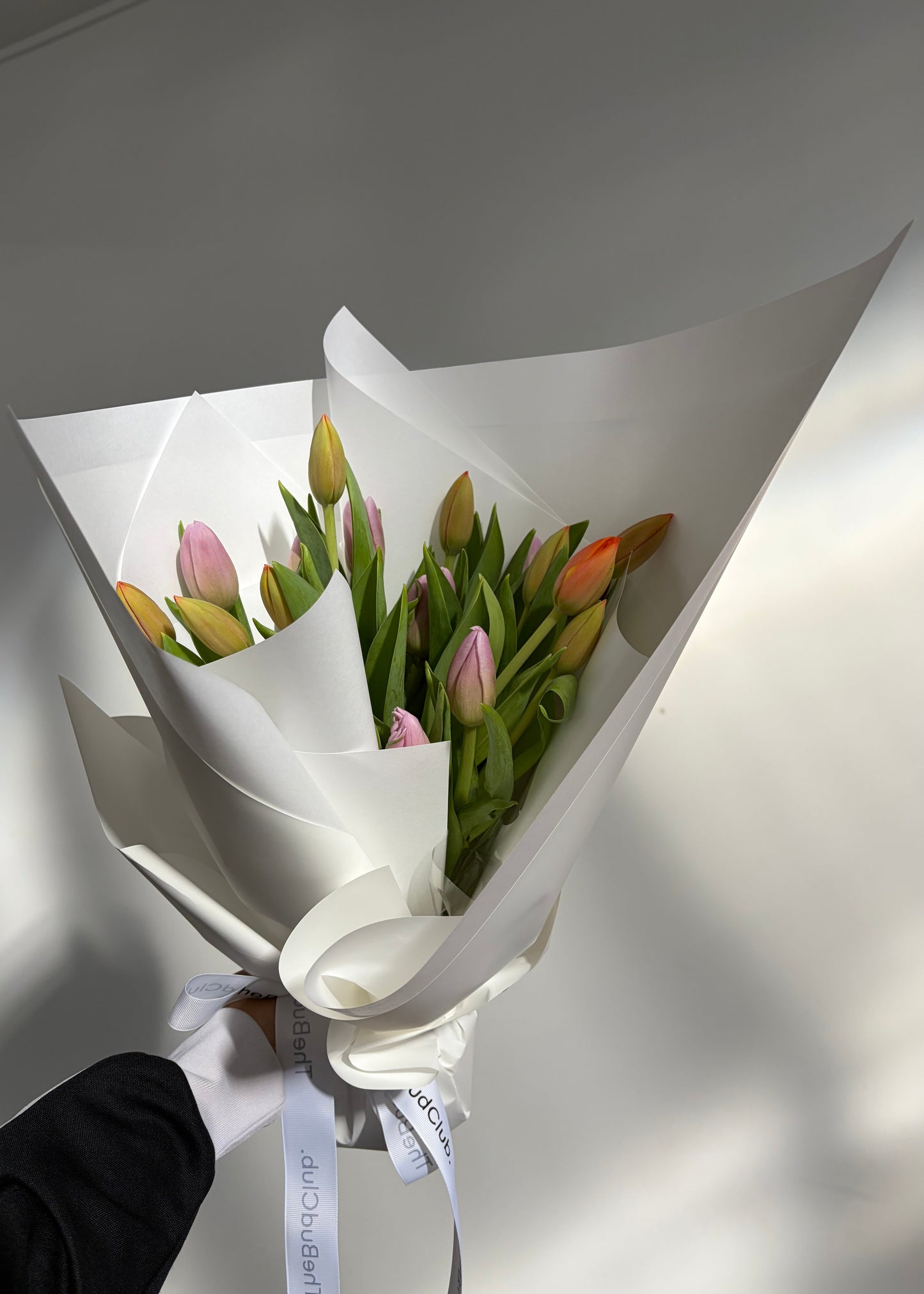 Tulips.