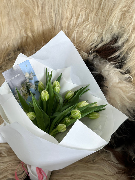 The Bud Club. Gold Coast Florist. Same Day Delivery. Bunches Events