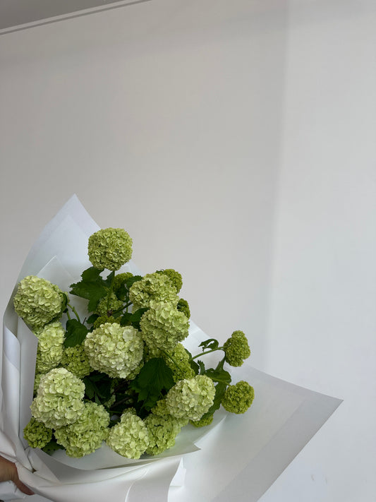 Snowball Hydrangeas.