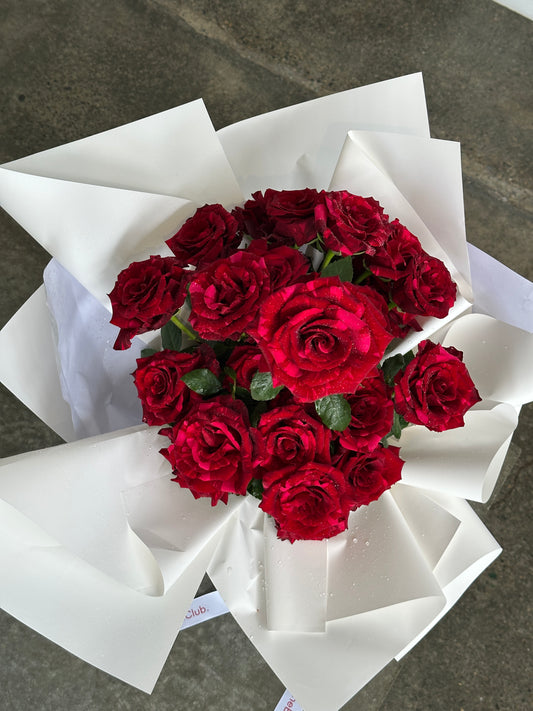 Red Panther Roses.