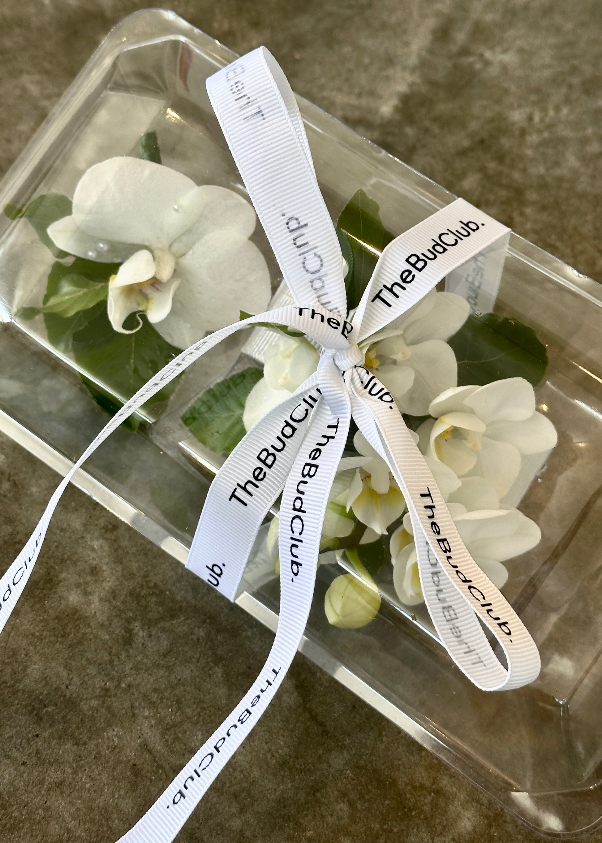Boxed white orchid corsage and boutonniere. 